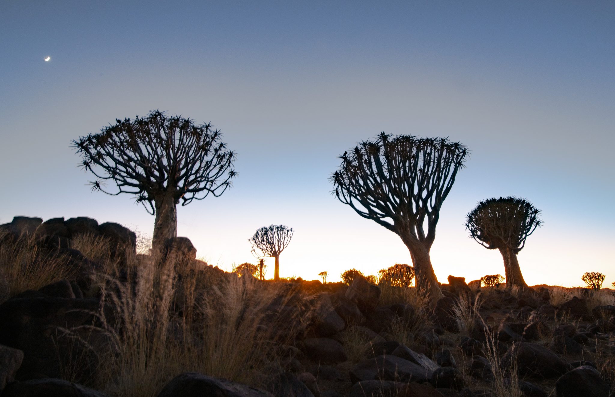 2023 Namibia Landscape Photography Workshop